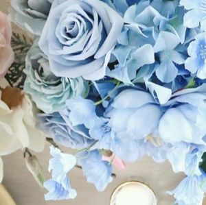 Meet your Posher, Fiona